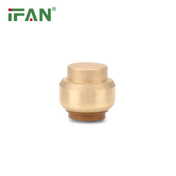ASTM F2788 Raccords à compression enfichables PEX en laiton douille - 图片 3